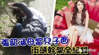 张韶涵爸爸爆料视频,揭秘家庭恩怨背后的真相  第3张